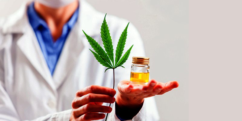 Normas Farmacêuticas Sobre Cannabis