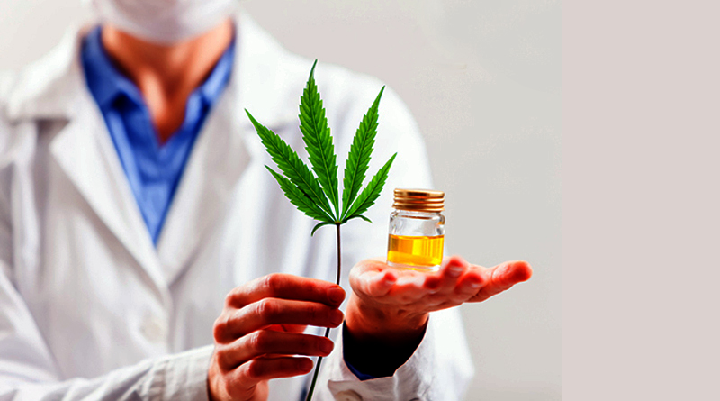 Normas Farmacêuticas sobre Cannabis